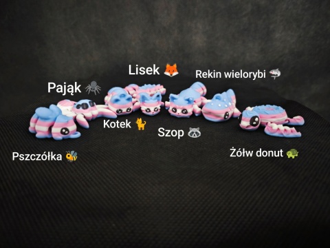 Lis FLAGI Lis FLAGI