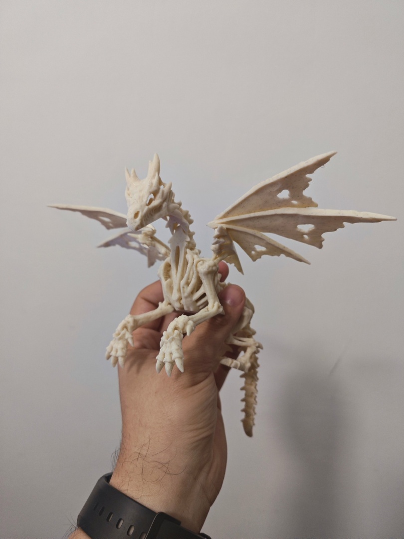 widmoskrzydły smok (kopia) widmoskrzydły smok (kopia)