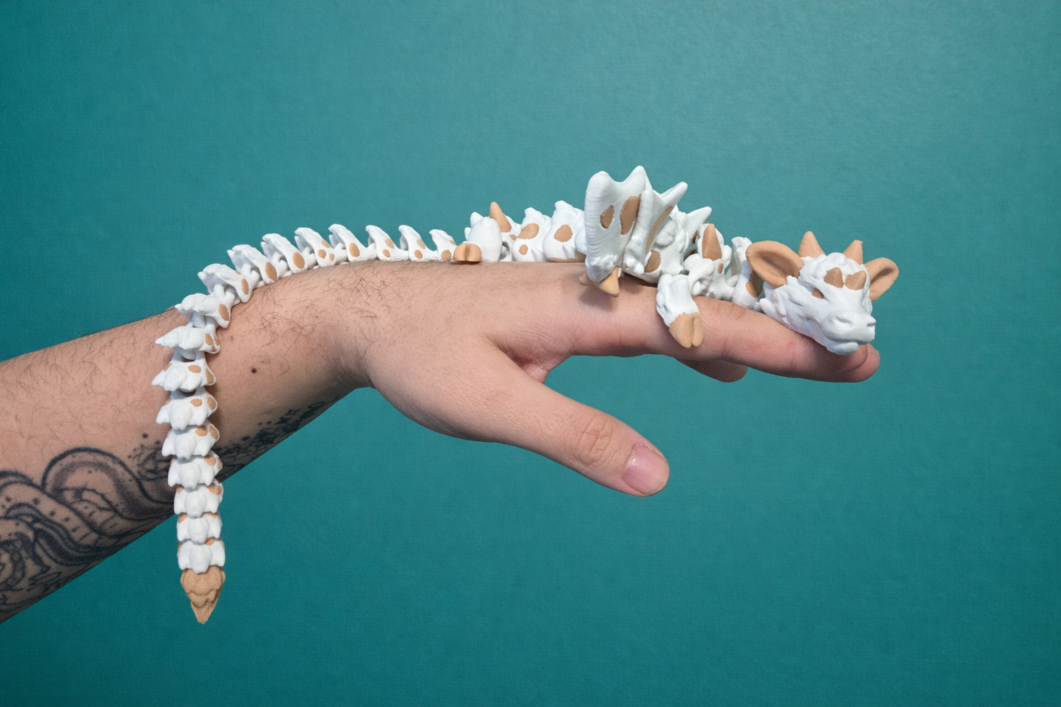 muudrakon dorosły muudrakon dorosły