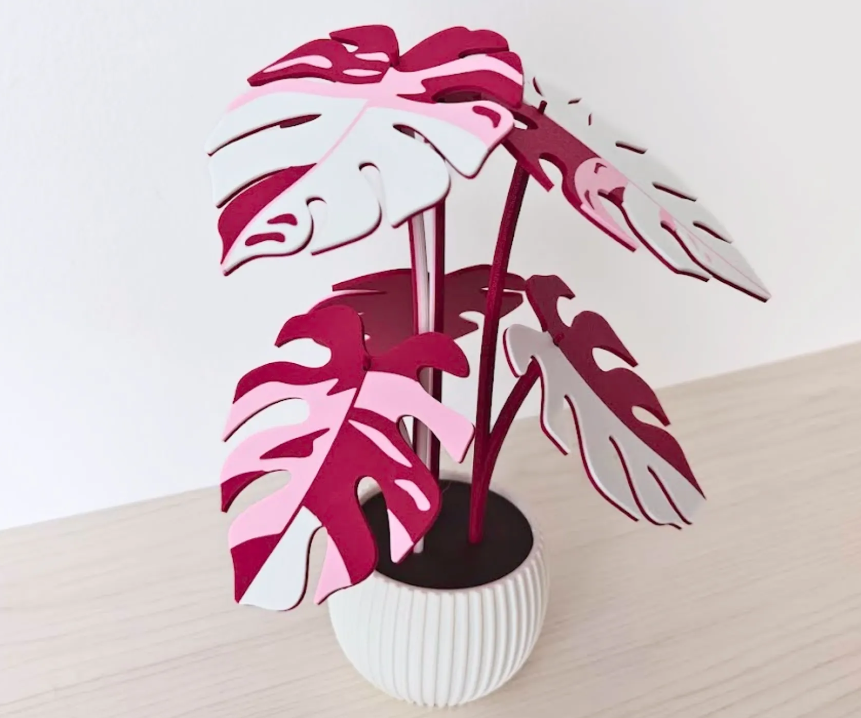 philodendron pink / white princess roślina 3d z podkładkami pod kubki (kopia) philodendron pink / white princess roślina 3d z podkładkami pod kubki (kopia)