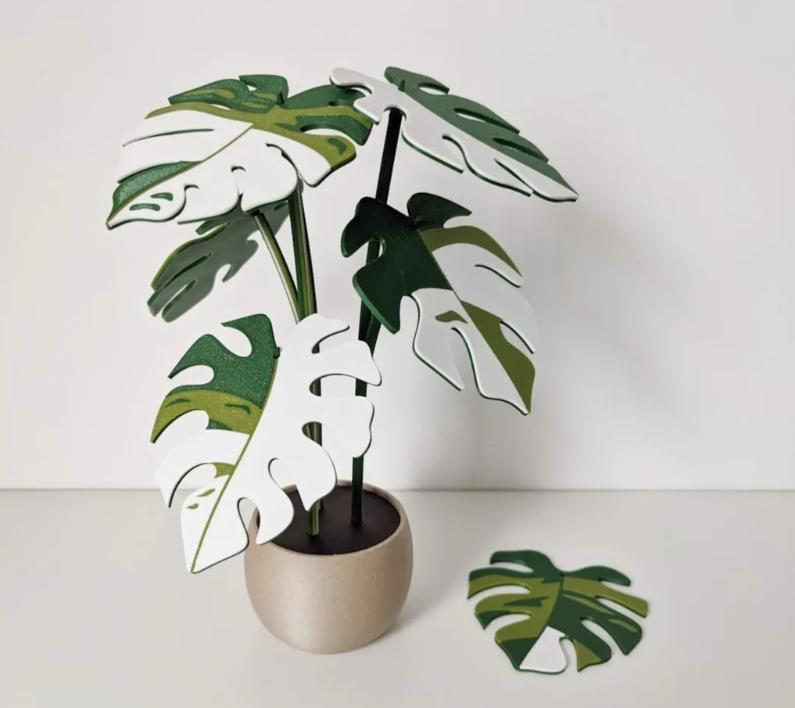philodendron pink / white princess roślina 3d z podkładkami pod kubki (kopia) philodendron pink / white princess roślina 3d z podkładkami pod kubki (kopia)