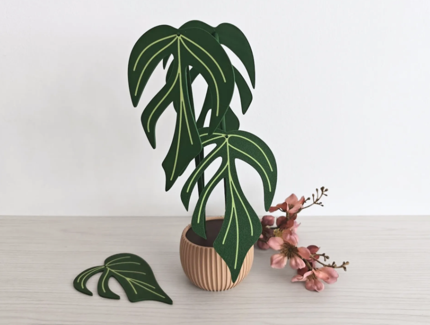 monstera adansonii wariegata roślina 3d z podkładkami pod kubki monstera adansonii wariegata roślina 3d z podkładkami pod kubki