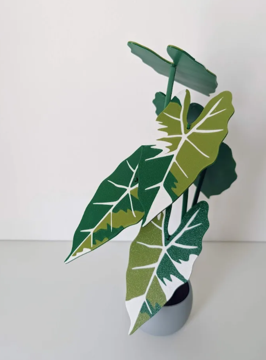 alocasia frydek wariegata roślina 3d z podkładkami pod kubki alocasia frydek wariegata roślina 3d z podkładkami pod kubki