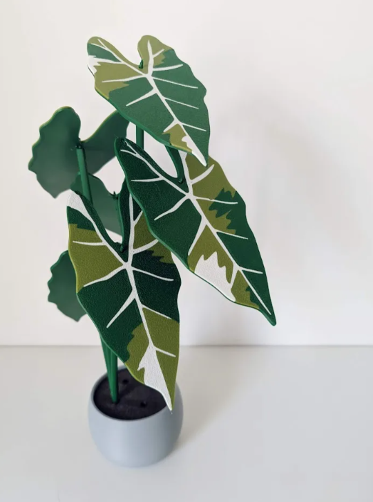 alocasia frydek wariegata roślina 3d z podkładkami pod kubki alocasia frydek wariegata roślina 3d z podkładkami pod kubki