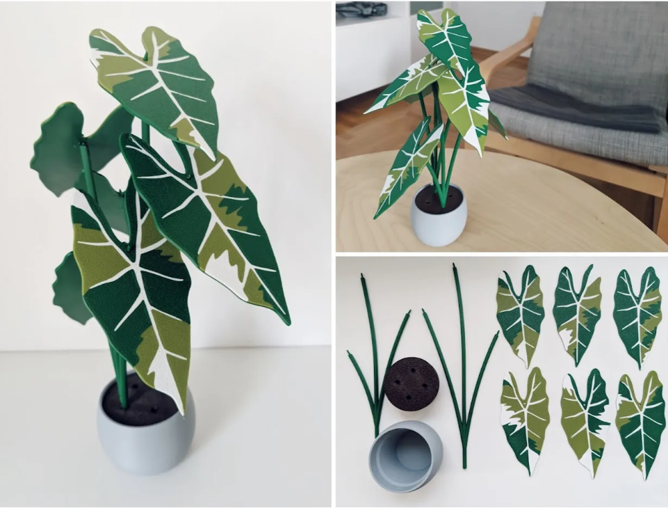 alocasia frydek wariegata roślina 3d z podkładkami pod kubki alocasia frydek wariegata roślina 3d z podkładkami pod kubki