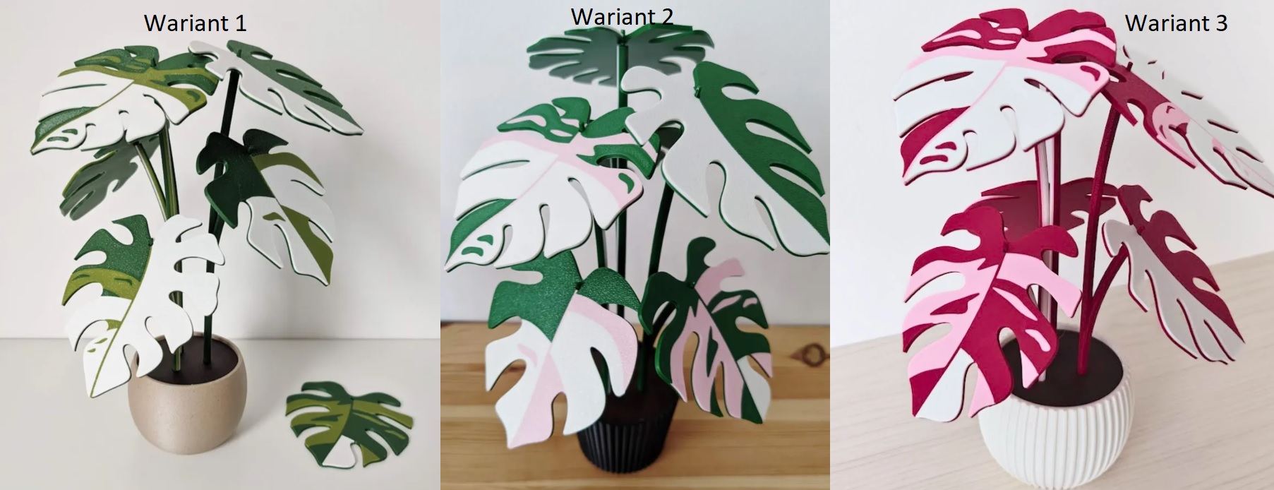 philodendron pink / white princess roślina 3d z podkładkami pod kubki (kopia) philodendron pink / white princess roślina 3d z podkładkami pod kubki (kopia)
